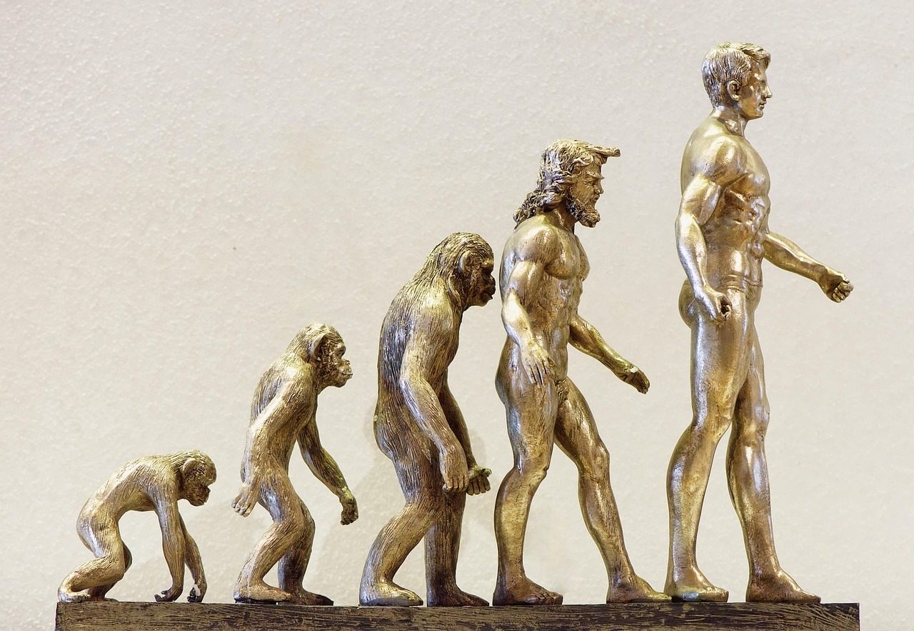 découvrez le rôle évolutif du notaire en tant que médiateur : accompagnement, conseils et résolution de conflits dans un contexte juridique moderne.
