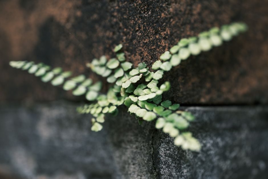 découvrez comment impliquer efficacement le syndic pour renforcer la résilience des copropriétés fragilisées et assurer une gestion durable au sein des collectivités.
