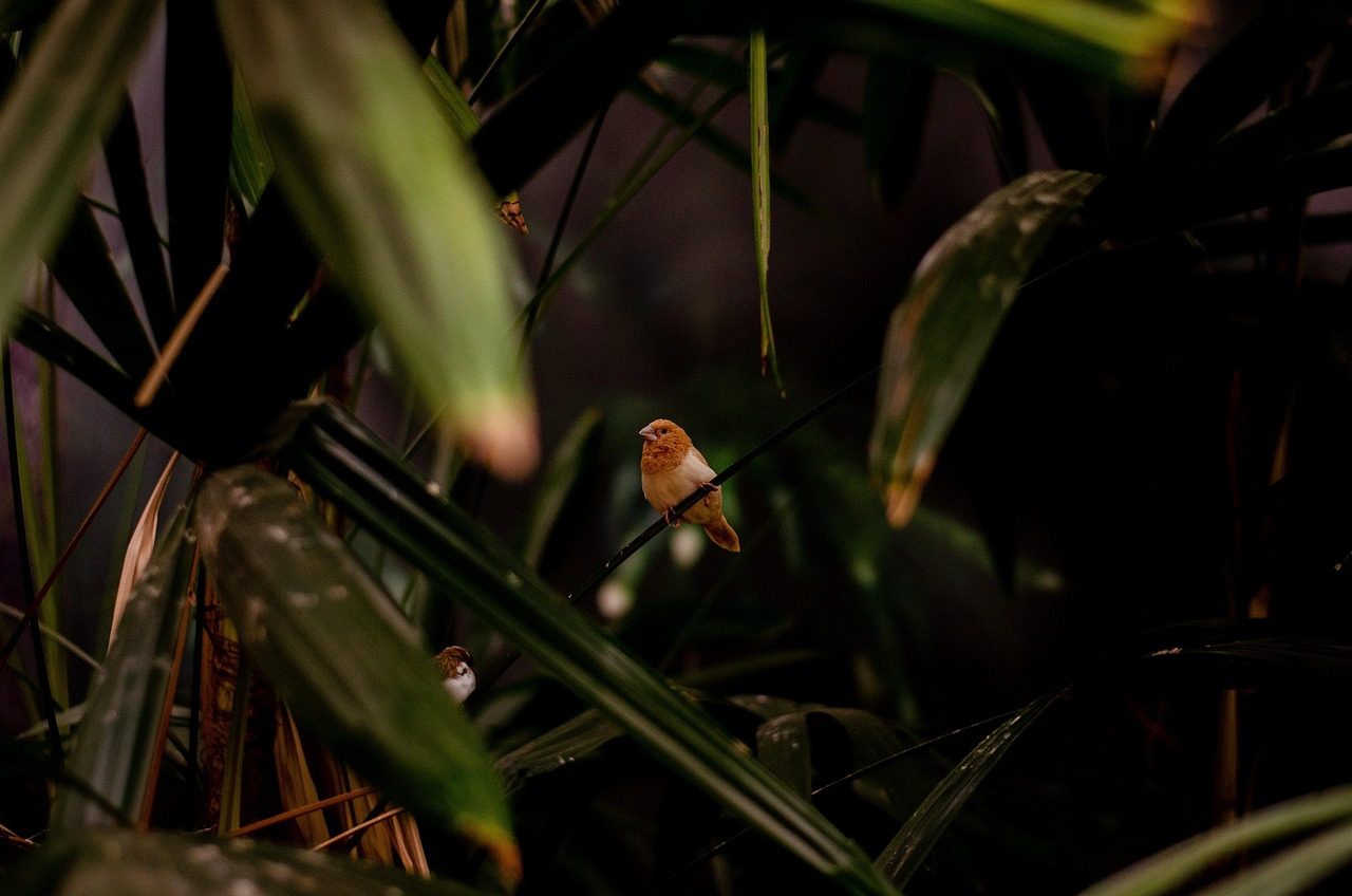découvrez comment althi et soclova renforcent l'habitat social en unissant leurs forces avec un syndic commun pour une gestion optimisée et solidaire.