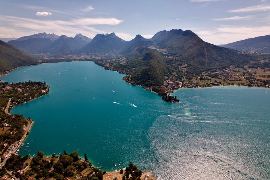 découvrez les résultats du premier tour de la législative partielle en haute-savoie, où le candidat soutenu par ciotti prend une avance significative.